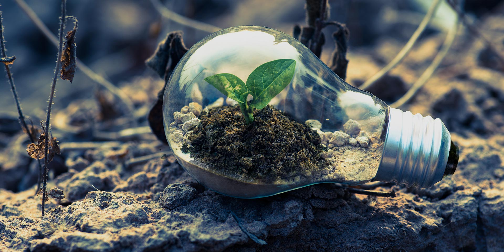 ��ͧ��yth��(�й���)�ٷ���վ